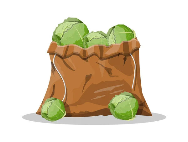 Φρέσκο λάχανο με πράσινα φύλλα σε τσάντα καμβά — Διανυσματικό Αρχείο