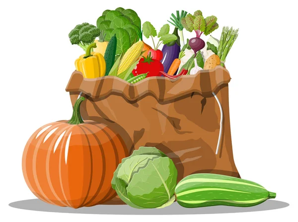 Canvas väska full med grönsaker. — Stock vektor
