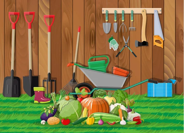 Gartenernte Mit Gemüse Und Verschiedenen Gartengeräten Werkzeugen Schubkarren Schlauchharke Kann — Stockvektor