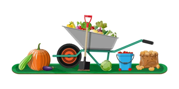 Κήπος Συγκομιδή Λαχανικά Και Διαφορετικό Εξοπλισμό Κηπουρικής Εργαλεία Καροτσι Φτυάρι — Διανυσματικό Αρχείο