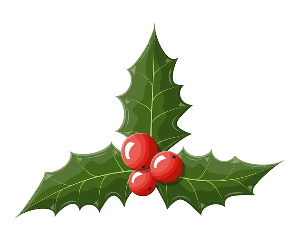 Twig of holly with leaves and berries on white — Stock Vector