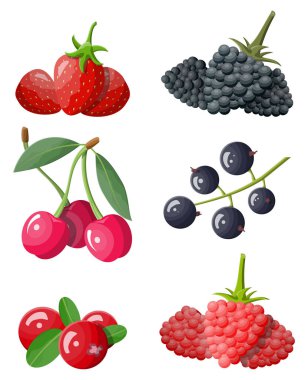 Berry Icon set.