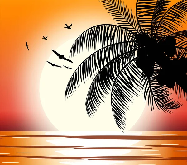 Silhouette einer Palme am Strand. — Stockvektor