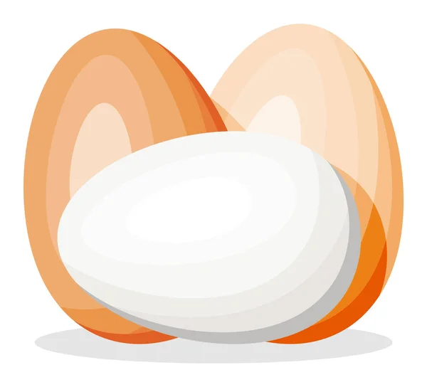 Huevos de pollo aislados sobre fondo blanco. — Vector de stock