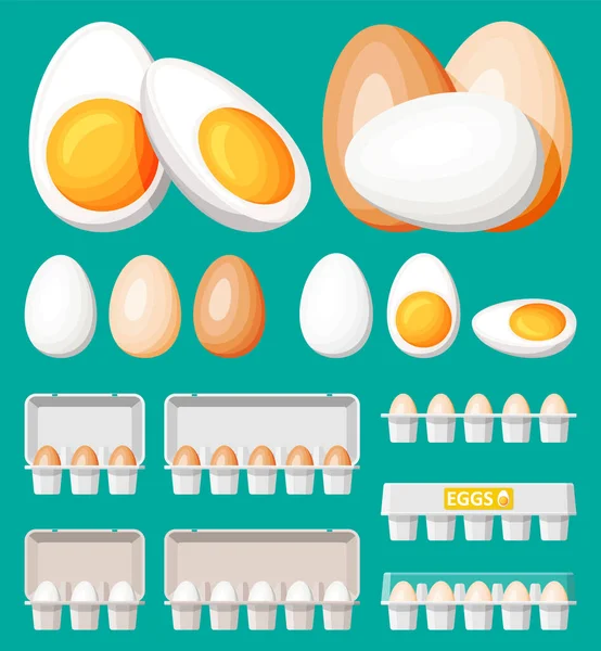 Ponga los huevos en un paquete de cartón aislado en verde. — Vector de stock