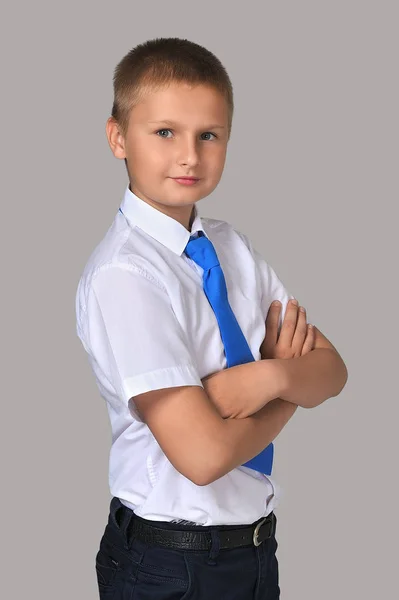 Portrét Chlapce Žák Elementárních Tříd — Stock fotografie