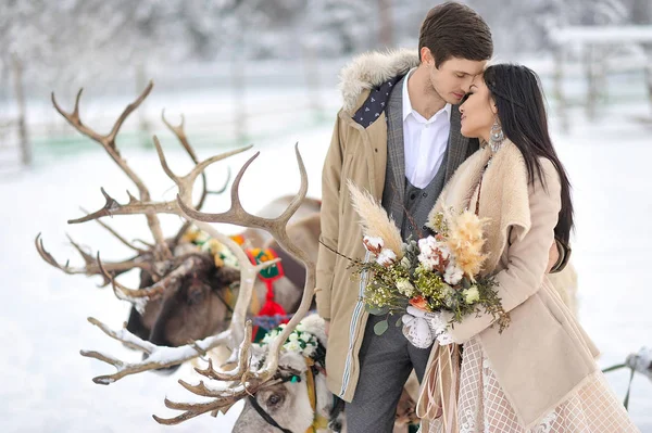 Casamento Inverno Noivo Europeu Noiva Asiática Com Arnês Renas — Fotografia de Stock