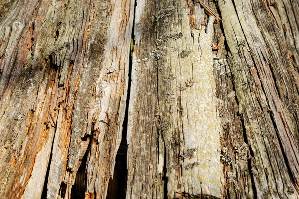 Fából Készült Háttér Régi Elpusztult Táblák Szempontjából Absztrakt Háttér Másol — Stock Fotó