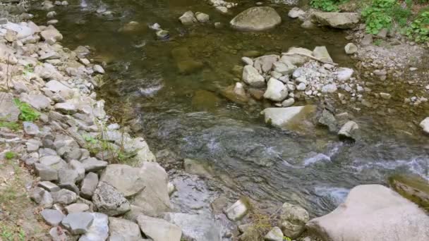 Schneller Gebirgsbach Zwischen Steinen Einem Sonnigen Tag Sommer Oder Frühling — Stockvideo