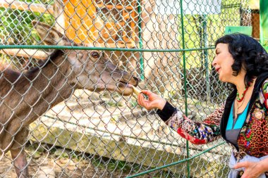 Güzel yetişkin kadın park veya ormanın içinde yürümek geyik besleme. Yakın çekim.