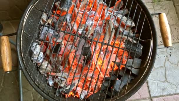 在烧烤炉中 在火中燃烧的热煤 为烹调肉 露天烧烤野餐准备 — 图库视频影像