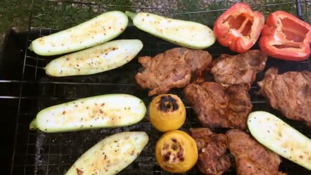 Menschenhände Bereiten Auf Dem Grill Oder Auf Dem Grill Eingelegte — Stockvideo