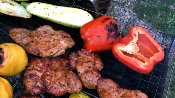 Human Hands Prepares Pickled Tasty Pork Beef Meat Vegetables Barbecue — Stock Video