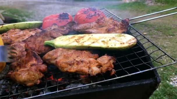 漬物のおいしい豚肉や牛肉の肉と野菜のバーベキューまたはグリルで人間の手を準備します — ストック動画