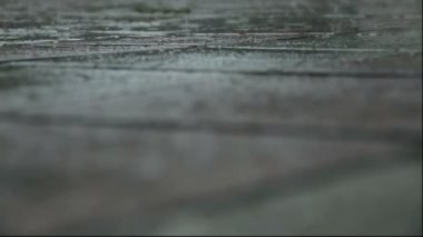 Yağmur devam levha ve su birikintisi parke gider. Seçici odak. Yakın çekim.
