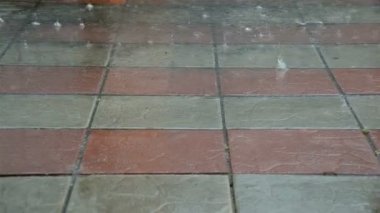 Yağmur devam levha ve su birikintisi parke gider. Seçici odak. Yakın çekim.