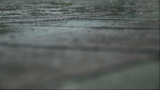 Rain Goes Paving Slab Puddle Selective Focus Close — Stock Video