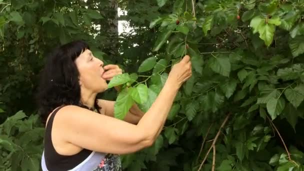 美丽的成年妇女流泪和吃桑树水果从树枝 — 图库视频影像
