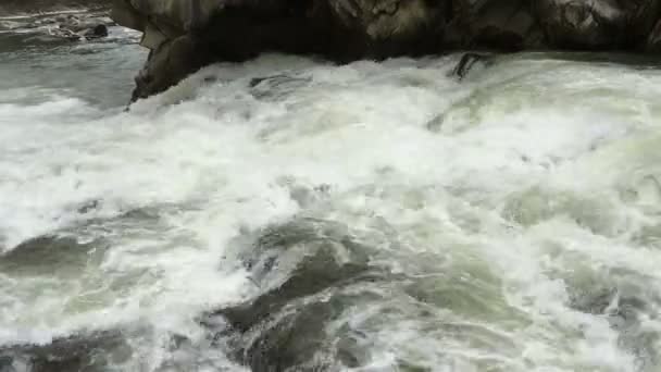 水しぶきの白と透明な泡と流れる清流の水の流れ 川の急流に強力な滝があります のビデオ クローズ アップ — ストック動画