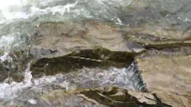 水しぶきの白と透明な泡と流れる清流の水の流れ 川の急流に強力な滝があります のビデオ クローズ アップ — ストック動画