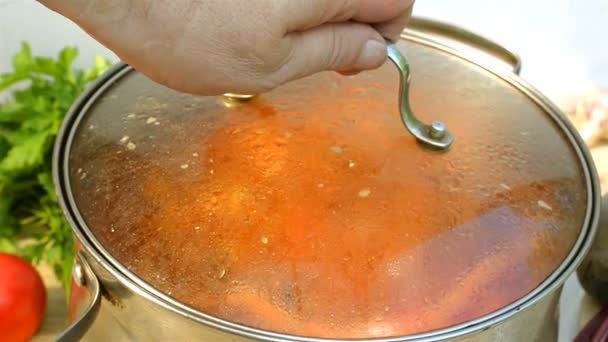 Pot with a homemade appetizing and tasty borsch. Red beetroot vegetable soup, boiling in a saucepan. Ukrainian and russian traditional red soup - borscht or borsch. — Stock Footage Pot Homemade Appetizing Tasty Borsch Red Beetroot Vegetable Soup Boiling Video Clip