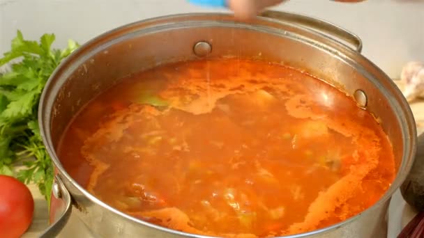 Pote Com Borsch Apetitoso Saboroso Caseiro Sopa Vegetal Beterraba Vermelha — Vídeo de Stock