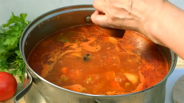 Горшок Домашним Аппетитным Вкусным Борщом Красный Свекольный Овощной Суп Кипящий — стоковое видео