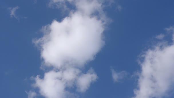 Білі Пухнасті Хмари Величезному Блакитному Небі Абстрактний Фон Природи Крупним — стокове відео