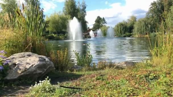 Fragmento Lago Parque Nacional Parque Mezhyhiria Cerca Kiev Hermoso Paisaje — Vídeo de stock