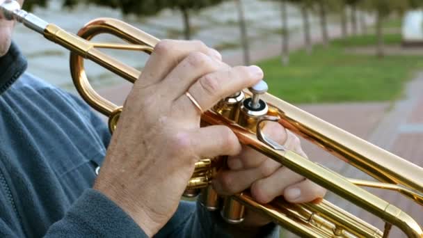 Handen Van Trompettist Die Zijn Muziekinstrument Het Park Speelt Straatvoorstellingen — Stockvideo