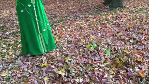 Hermosa Mujer Feliz Vestido Verde Recoge Las Hojas Parque Otoño — Vídeos de Stock