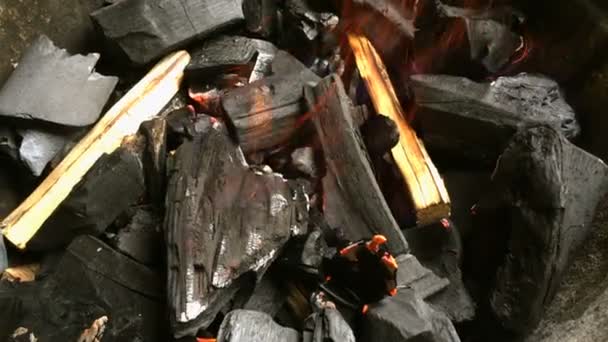 在金属烤架上燃烧柴火 燃烧柴火的巴西人 煤和灰的舌头 用于烧烤烹饪 用于户外野餐 — 图库视频影像