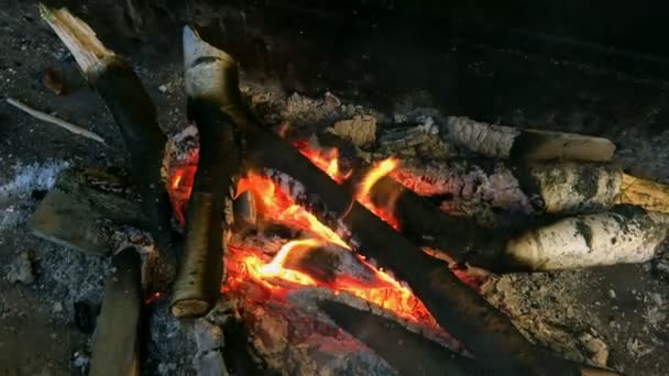 Burning Firewood Mettalic Grill Brazier Burning Firewood Tongues Flame Smoke — Stock Video