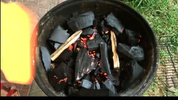 Mettalic グリルで薪を燃やし 薪を燃やし 石炭灰の舌 バーベキューで調理 屋外のピクニックのため — ストック動画