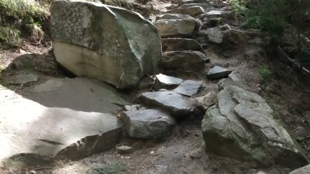 Wandelpad Van Grote Stenen Het Bos Bergen Stijgt Close — Stockvideo