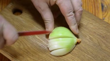 Kesme soğan mutfakta. Ahşap kesme tahtası üzerinde kırmızı bıçakla küçük dilimler halinde soğan doğrama Şef.