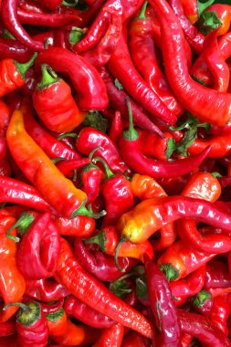 Çoğu kırmızı olgun biber bir yığın. Gıda arka plan. Dikey vurdu. Yakın çekim.