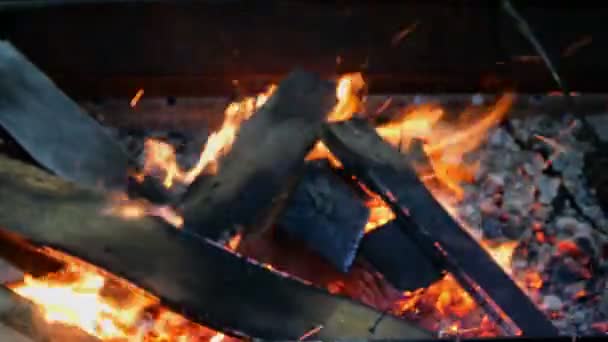 Yellow Bright Burning Firewood Close Orange Flame Campfire Close Burning — Stock Video