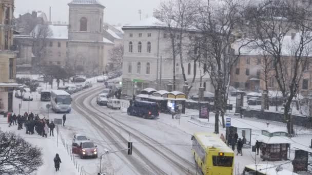 Lviv Ukraine January 2019 View Lviv Street Cathedral Square Snowfall — Stock Video