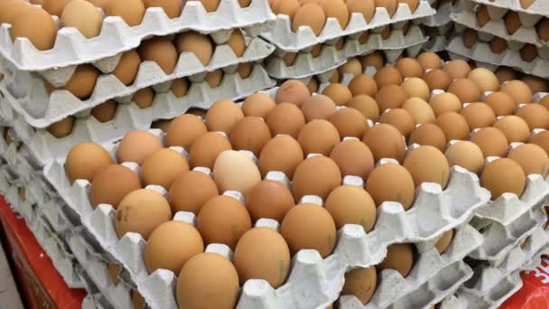 Яйця Укладаються Рядках Купи Свіжої Коричневі Яйця Картонних Коробках Птахофермі — стокове відео