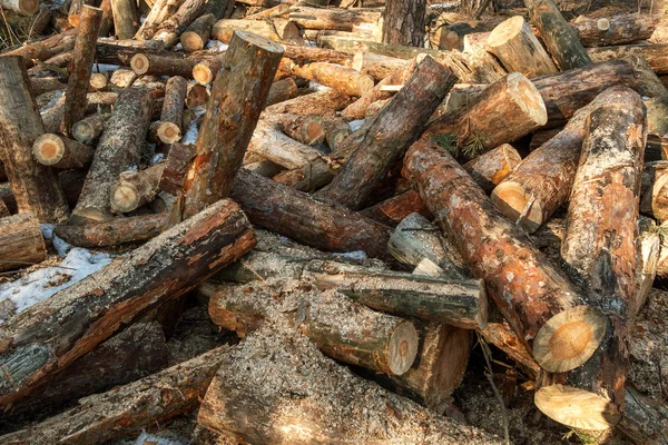 Bir yığın açık havada yakın çekim içinde yığılmış yakacak odun. Bir yığın doğranmış 