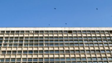 Kuşlar gökyüzünde gökdelenin cephe uçmak. Birçok windows, geometrik. Çok sayıda aynı pencere satır ile duvar.