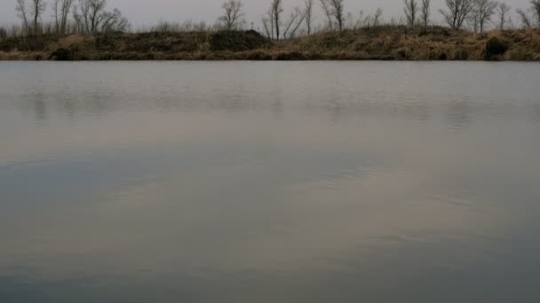 Au bord de la rivière avec de petits arbres, et de l'eau avec de légères ondulations dessus. Calme et statique de nature .