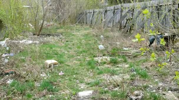 Terreno Abandonado Con Basura Viejos Materiales Construcción Residuos Tierras Terrenos — Vídeos de Stock