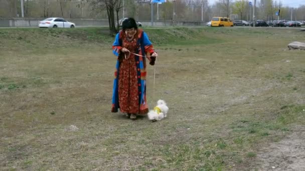 Elegante Mujer Adulta Camina Con Mascota Pequeño Perro Blanco Pekín — Vídeos de Stock