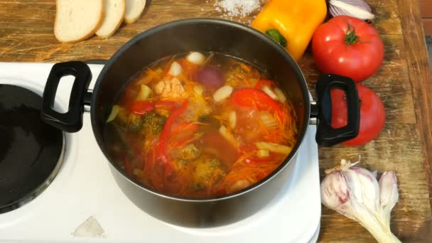 Homemade Cooking Concept Healthy Vegetarian Lean Food Vegetable Minestrone Soup — Stock Video