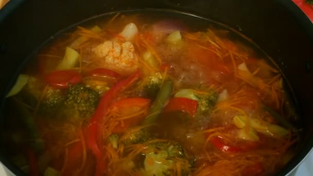 Homemade cooking. Concept of healthy vegetarian or lean food. Vegetable or minestrone soup cook in a metal saucepan on the stove. — Stock Footage Homemade Cooking Concept Healthy Vegetarian Lean Food Vegetable Minestrone Soup Royalty Free Stock Footage