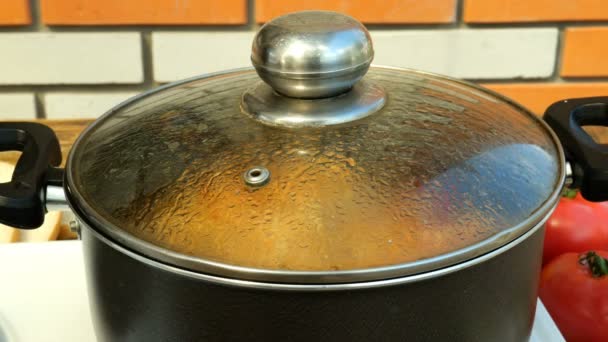 自制烹饪 健康素食或瘦肉食品的概念 蔬菜或矿汤配意大利面 在炉子上的金属平底锅中烹饪 — 图库视频影像