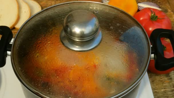 Homemade cooking. Concept of healthy vegetarian or lean food. Vegetable or minestrone soup cook in a metal saucepan on the stove. — Stock Footage Homemade Cooking Concept Healthy Vegetarian Lean Food Vegetable Minestrone Soup Royalty Free Stock Video