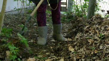 Peyzaj Mevsimlik ev işleri. Bahar bahçe temizliği. Bahçıvan arka bahçede tırmık yaprakları ile tırmık.
